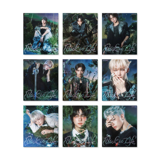 &TEAM - KR 1st Mini Album [Back to Life] (ROAR ver.)