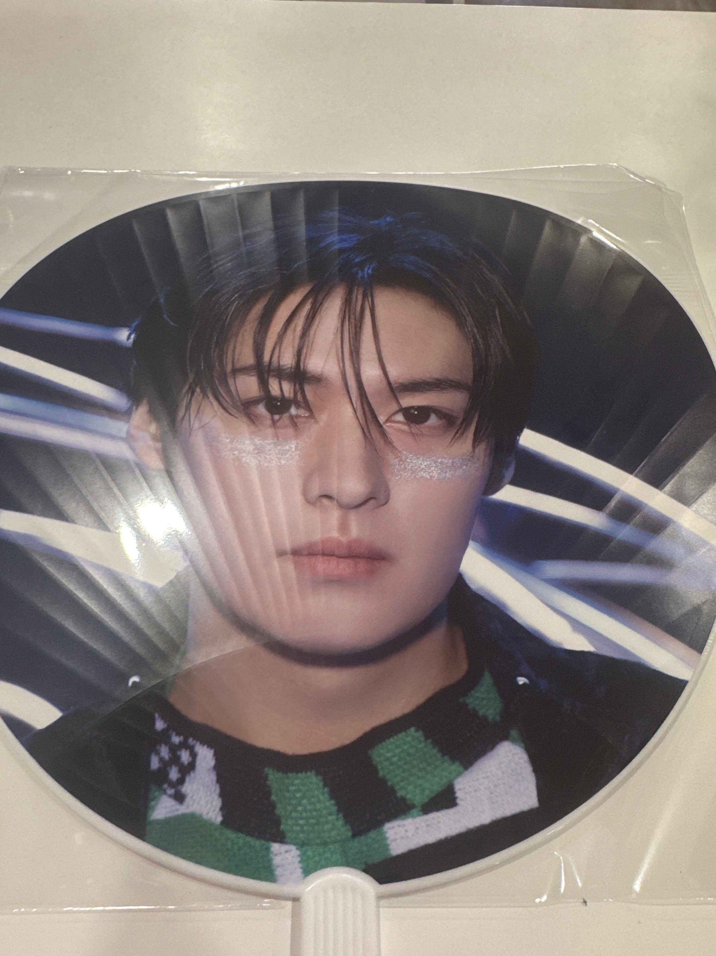 Stray Kids World Tour ＜dominATE JAPAN＞ OFFICIAL IMAGE PICKET